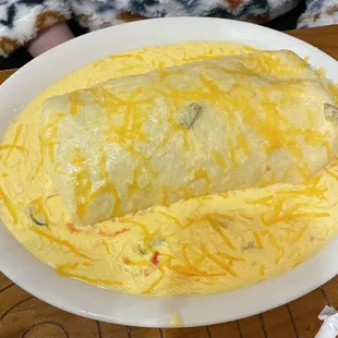 Shredded beef burrito with queso