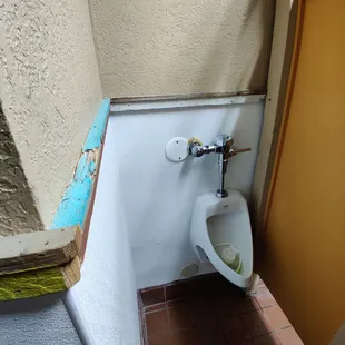 Decay, urinal candy.....and neglect.