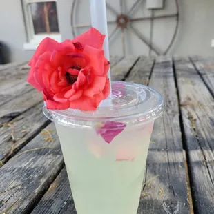 a rose in a cup