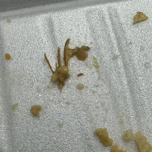 Pieces of multiple wood in my enchiladas!!!