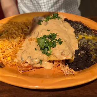 Chipotle Sour Cream Mushroom Enchiladas