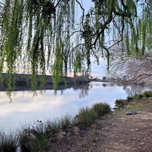 You can sand on the bank and fish in the San Joaquin a river.