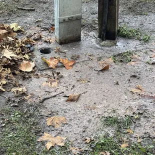 You guessed it, POOP!