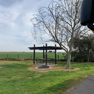 We looked out over this field. Lots of squirrels were sitting up like meerkats.