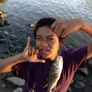 Little striper hittin too....had to toss him back tho'. #awkwardshaka