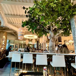 Inside with a view of the bar