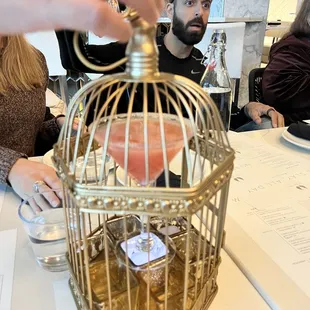 a bird in a cage