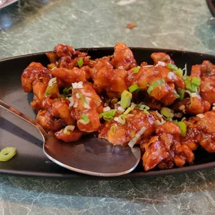 Gobi Manchurian Gobi