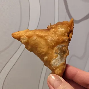 Lamb samosa. You get three.