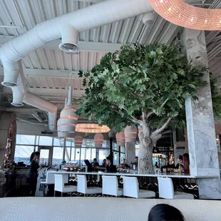 View of bar from our table