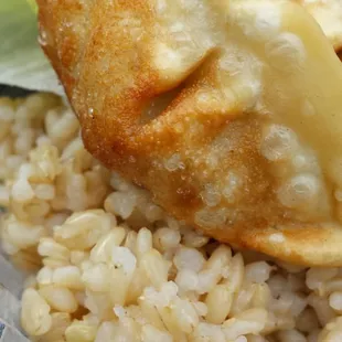 Teriyaki Chicken lunchbox with salad and choice of rice (white or brown) and you can have mandoo dumplings too