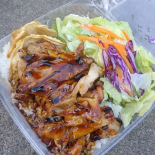 Teriyaki chicken on white rice with side salad and two potstickers.