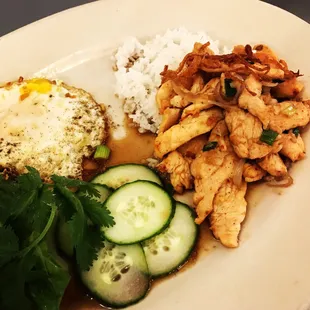 Grilled chicken over rice with fried egg