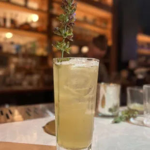 a glass of lemonade with a sprig of mint