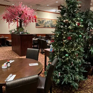 a christmas tree in a restaurant