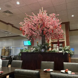 Tree in the lobby