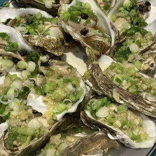 Oysters with ginger &amp; green onion