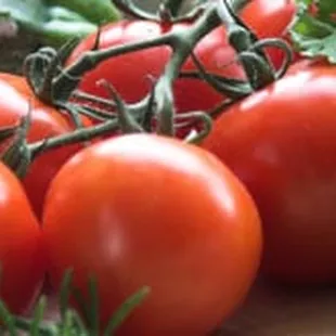 Dot's Market image of grocery shelves