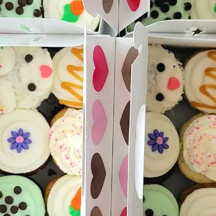 Mini cupcakes to go.  So cute!