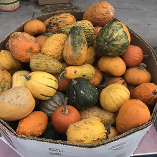 a box full of pumpkins