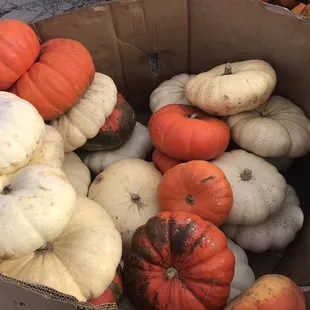 a box of pumpkins