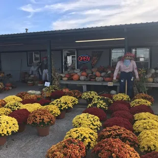 a man standing in front of a display of flowers