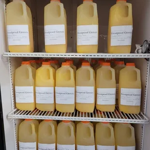 Fresh squeezed Orange Juice