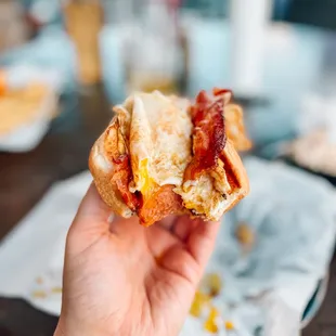 Breakfast Dog