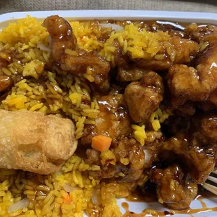 General Tso's chicken with fried rice. My favorite!