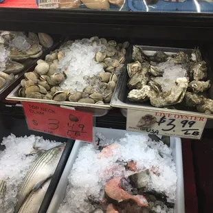 a variety of seafoods