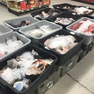 a variety of frozen seafood