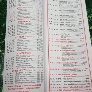 a menu for a chinese restaurant