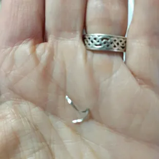 Piece of metal found in food.