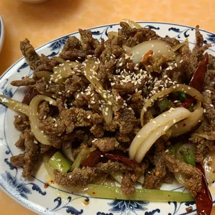 Spicy Crispy Beef Special