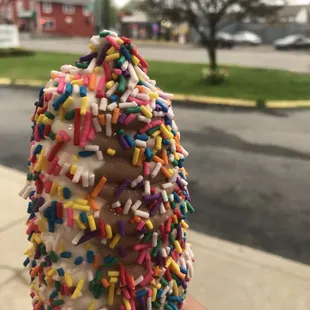 Twist with sprinkles...FYI this is a small!!!! Come come hungry