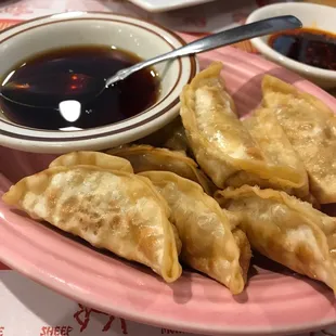 Chicken Dumplings