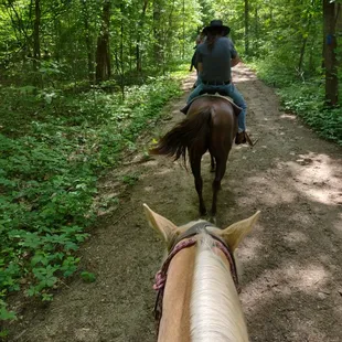 We were following Squirt, a very friendly lil' filly.
