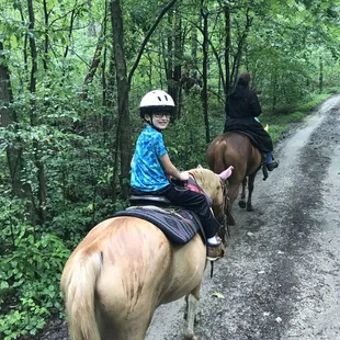 June was an excellent horse for a child new to riding