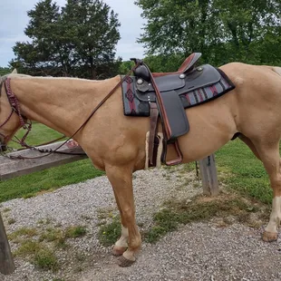 My new friend Fritz.