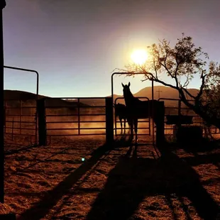 Sunrise at the Ranch