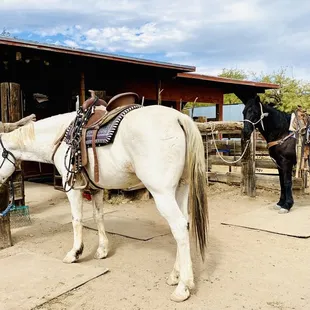 Double R Ranch