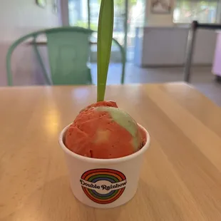 Rainbow Sorbet Single Scoop