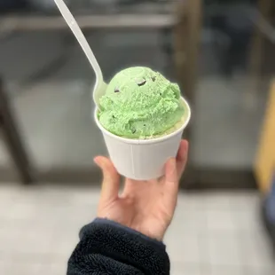 Mint chip and butter pecan