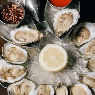 East Coast Oysters.
