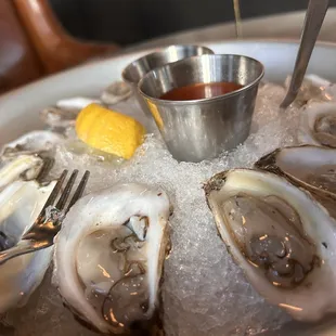Tiny East coast oysters