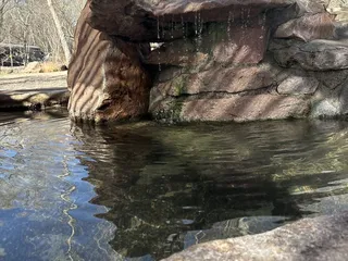 Wilderness Lodge & Hot Springs