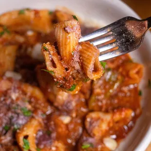 Short Rib Ragu