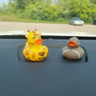 Ducks from the claw!