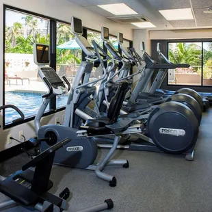 Health club  fitness center  gym