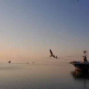 USS Lexington at sunrise from the balcony of our room
